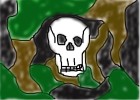 Skull in Camo