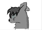 Graystripe