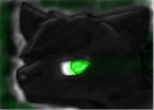 Hollyleaf...