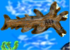 three headed shark