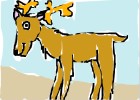 reindeer