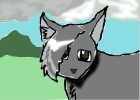 My warrior cat:Wolfclaw!