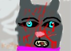 scourge after killing tigerstar