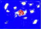 the rose of the night sky