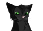 Hollyleaf for eveecrazy191