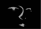 the face shadows
