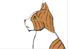 leafstar of skycaln