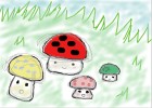 mushrooms