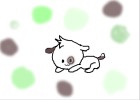 puppy