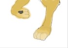 Lion's paws