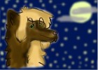 wolf female in starry night sky