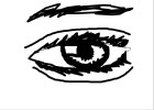 ho to draw a relastic eye