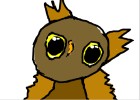 owl