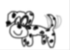 dalmation dog