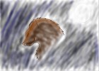 Wolf Picture
