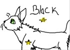 Warrior Cats BlackStar