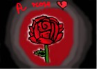 rose