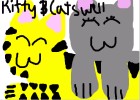 cute cat couple
