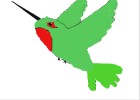 Hummingbird