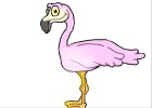 my flamingo