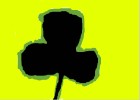 Shamrock