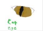 cat eye