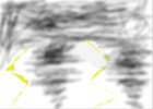 thunder and tornadoes