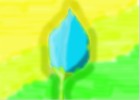 blue tulip