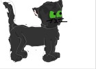 hollyleaf