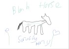 Blank/Scruffy pony