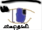 eye of the morgan