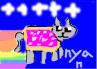 nyan