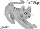 Greystripe