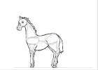 How to draw a pony