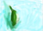 Leaf ^^