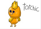 Torchic Drawing