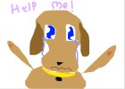donate to wspa