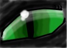 Hollyleaf's eye