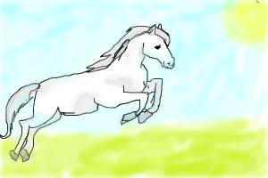 a beutuful white horse