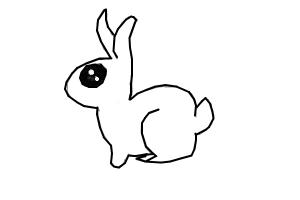 a bunny