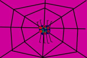 A Spider in It's Web