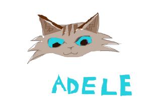 Adele's Crazi Cat
