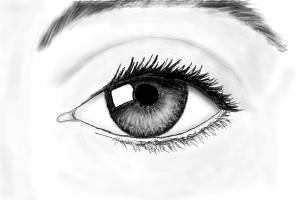 An eye of somebody