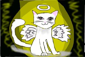 Angel Cat