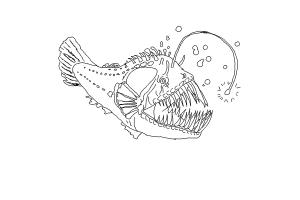 Anglerfish