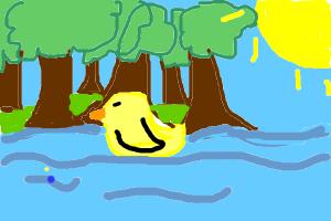 Angry Ducky