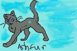 ashfur