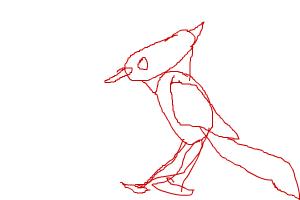 blue jay