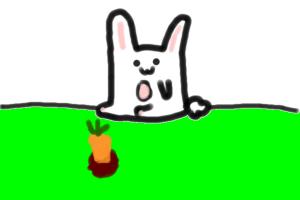 bunny