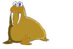 Cartoon Walrus